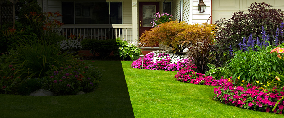 Danielsville Landscapers